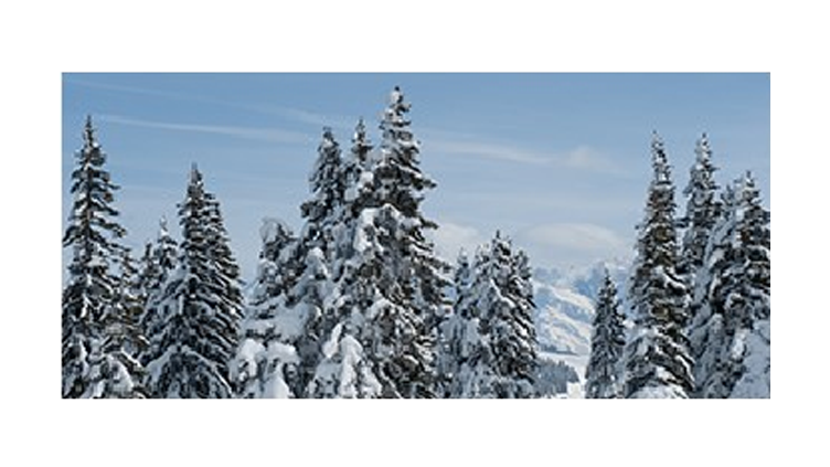 choisir-batons-ski.png choisir-batons-ski.png
